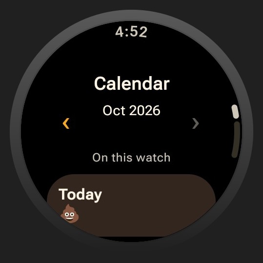 Diaroo history on Wear OS, with sample data and official product artwork.